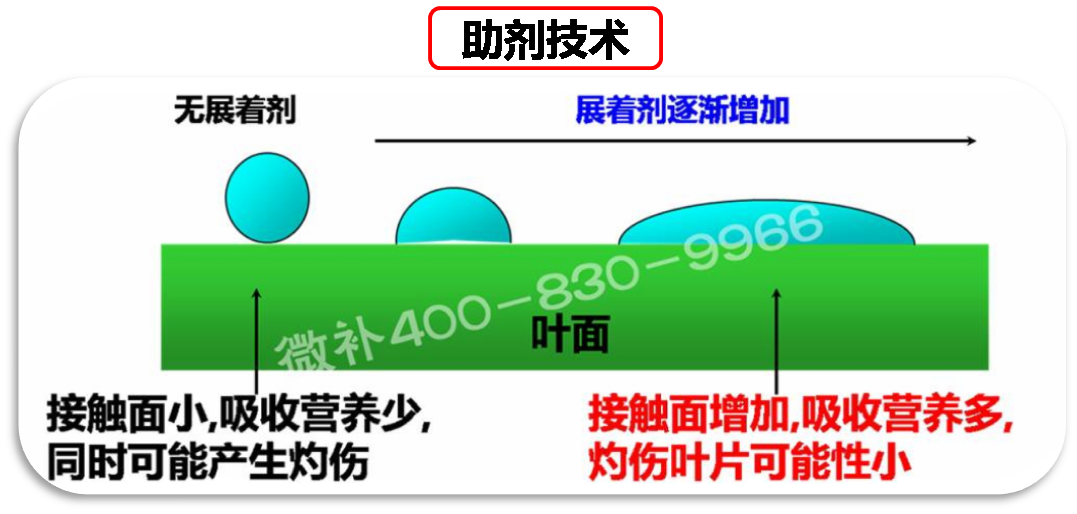 余教授德國鄉(xiāng)村行：我在德國為什么不會點啤酒了？