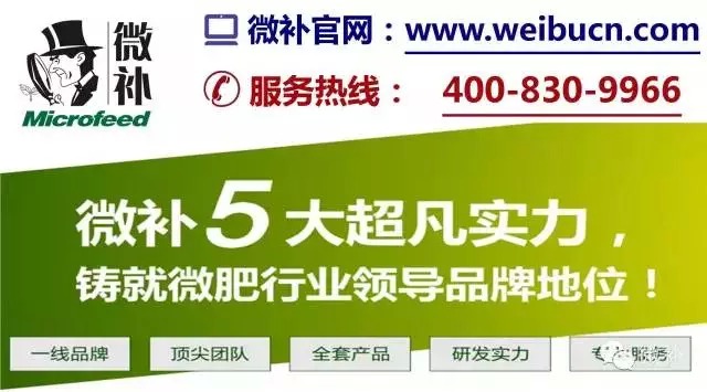 余教授奧地利鄉(xiāng)村行：萬科為什么說把奧地利小鎮(zhèn)搬回來？