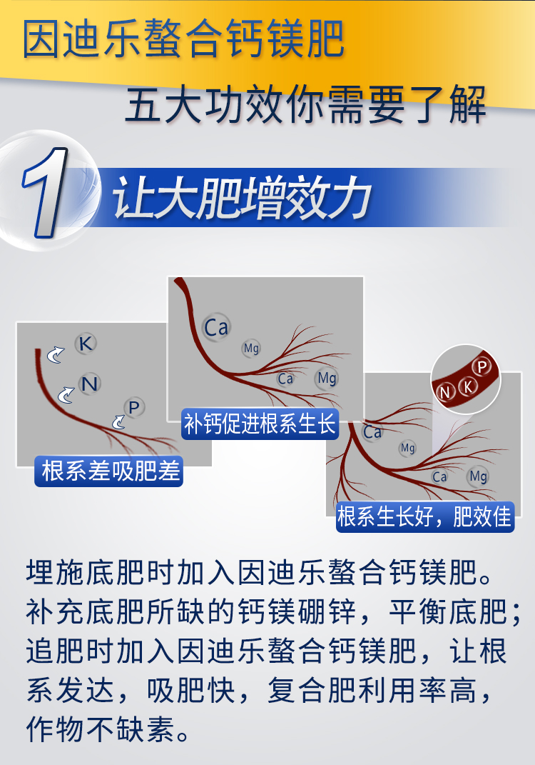 18因迪樂(lè)螯合鈣鎂肥【手機(jī)版】_06.jpg