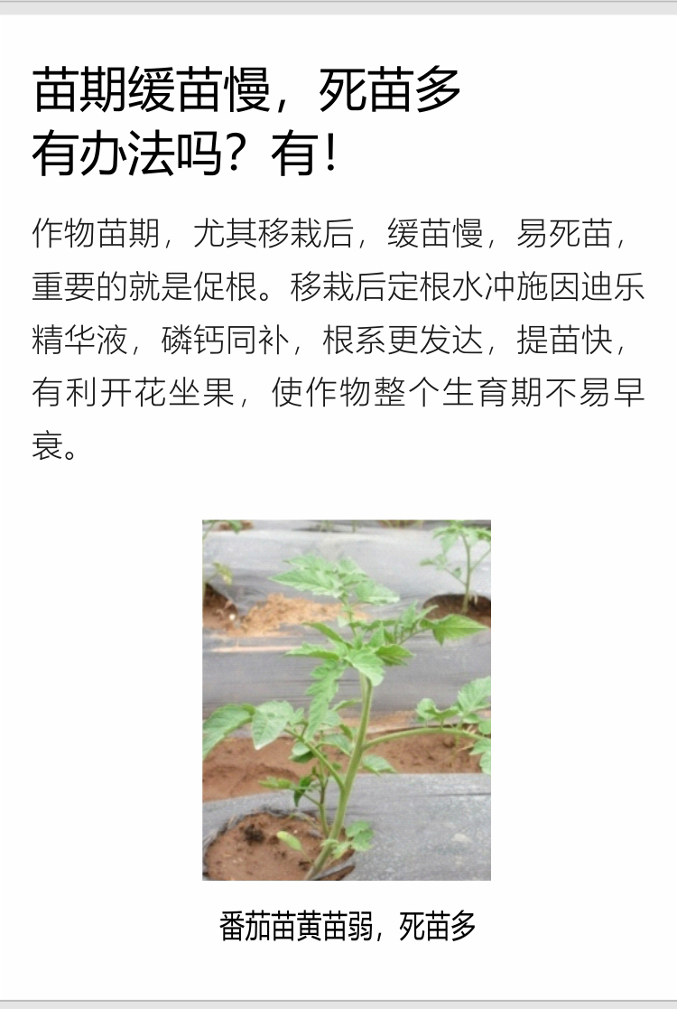 因迪樂(lè)精華液(1)_04.jpg