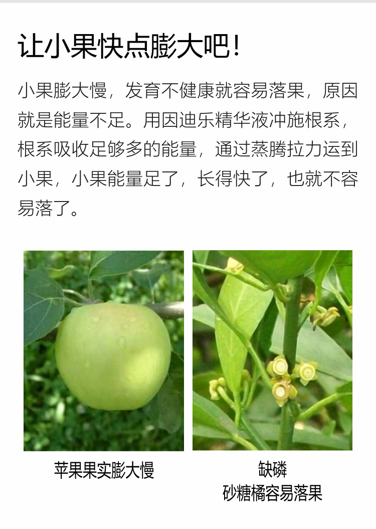 因迪樂(lè)精華液(1)_05.jpg