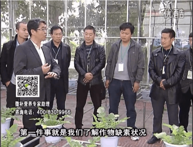 20160418珠江臺搖錢樹：和重慶種植業(yè)主走進微補，探秘微補生產研發(fā)技術